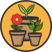 Ghivece pt legume, flori si plante ornamentale