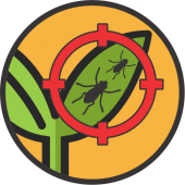 Insecticide - Acaricide