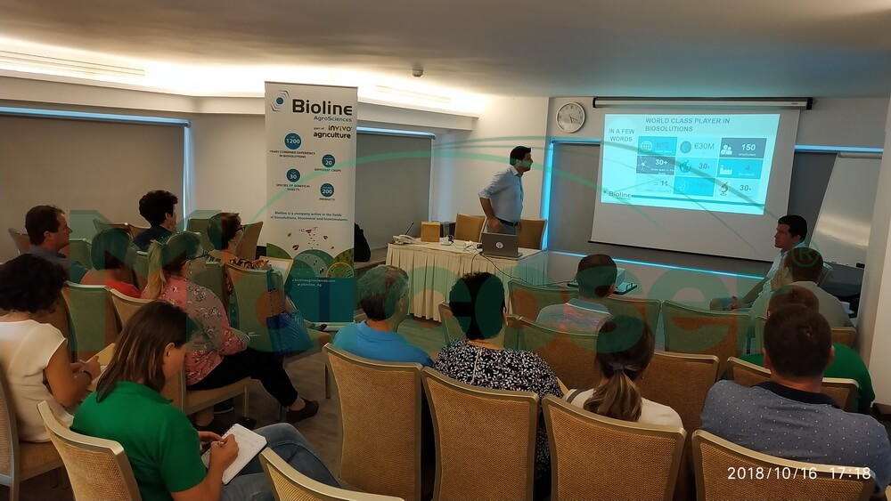 Retrospectiva 2018. Schimburi de experienta si traininguri
