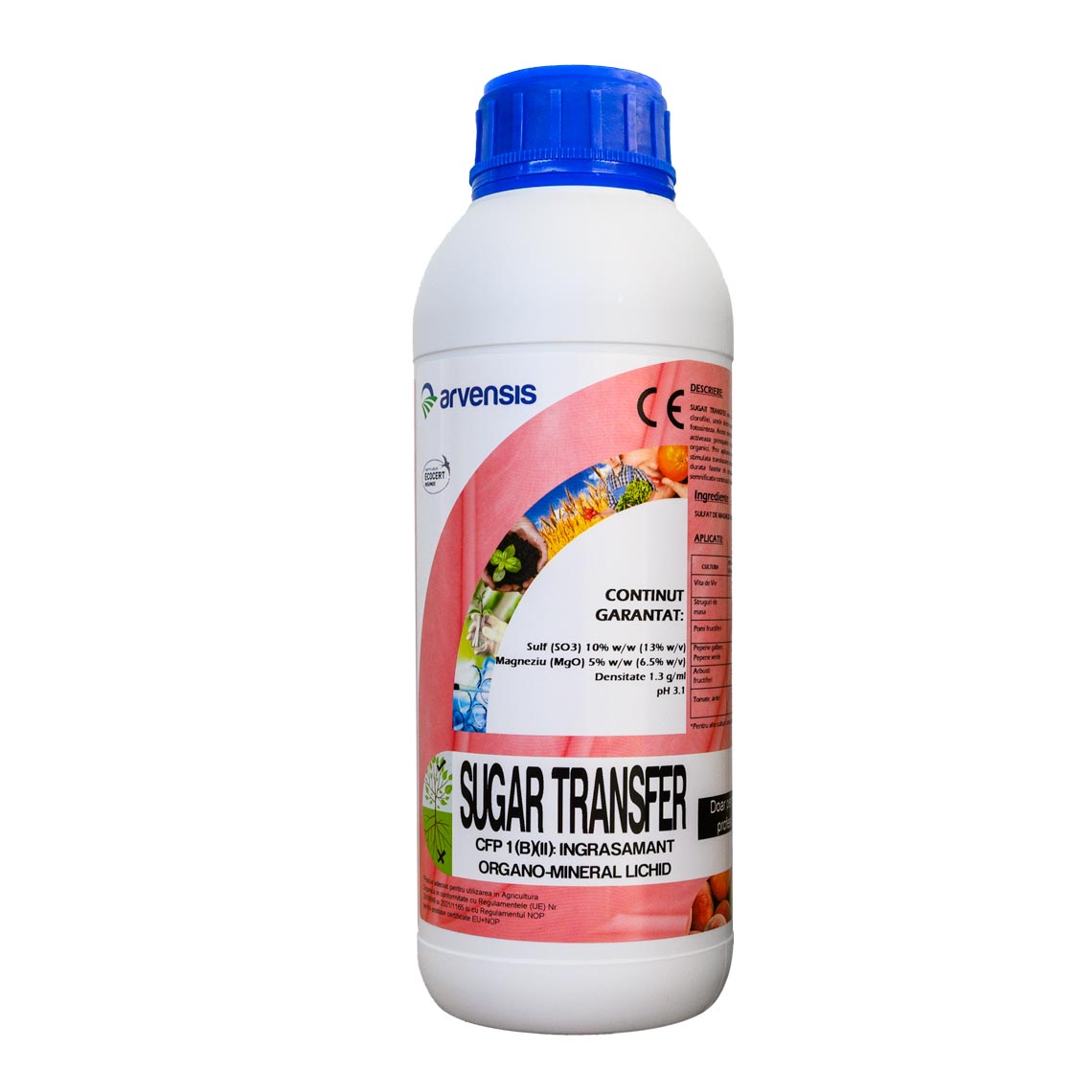 SUGAR TRANSFER