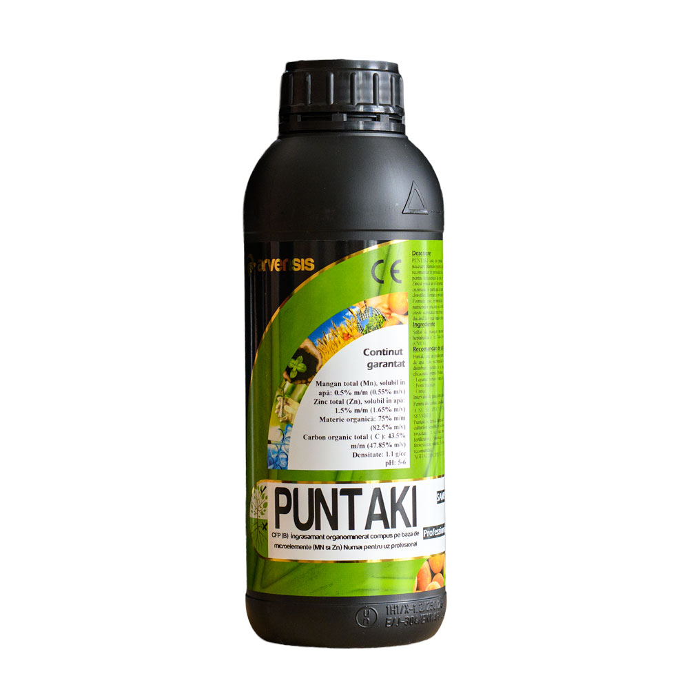 PUNTAKI