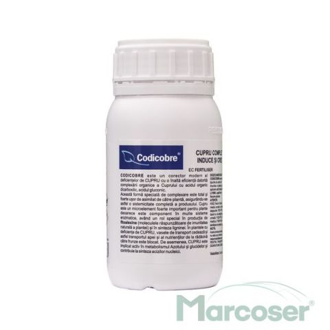 CODICOBRE
